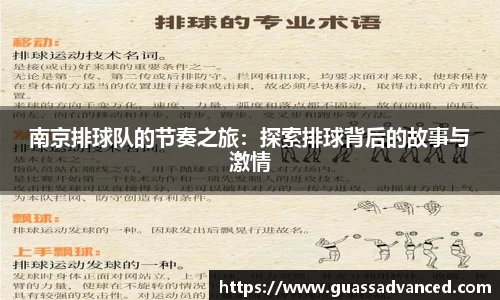 南京排球队的节奏之旅：探索排球背后的故事与激情