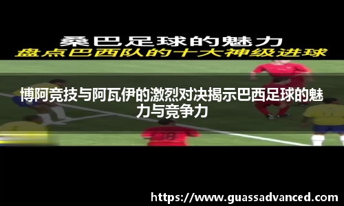vsport体育