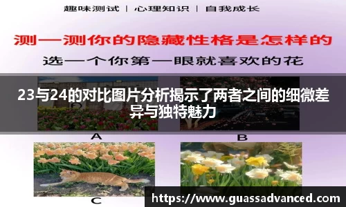 23与24的对比图片分析揭示了两者之间的细微差异与独特魅力